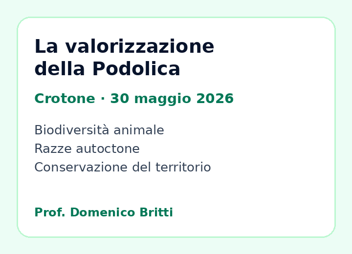 Preview of the programme La valorizzazione della Podolica in Calabria