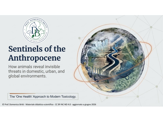Preview of Sentinels of the Anthropocene