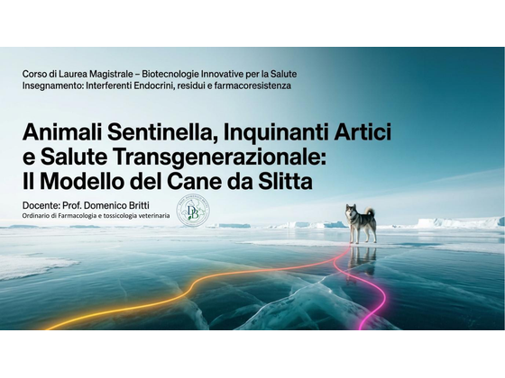 Preview of the presentation Sled dogs and Arctic contaminants