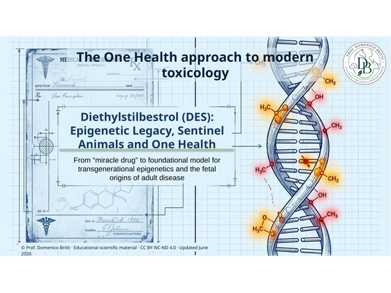 Preview of the DES epigenetic legacy and One Health lecture